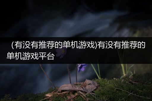 （有没有推荐的单机游戏)有没有推荐的单机游戏平台