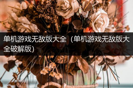单机游戏无敌版大全（单机游戏无敌版大全破解版）