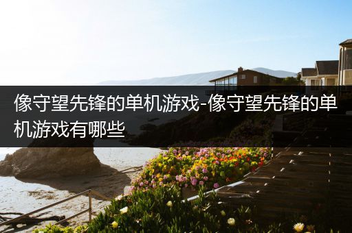 像守望先锋的单机游戏-像守望先锋的单机游戏有哪些
