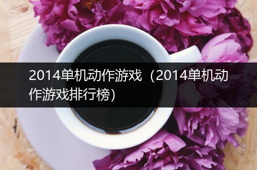 2014单机动作游戏（2014单机动作游戏排行榜）