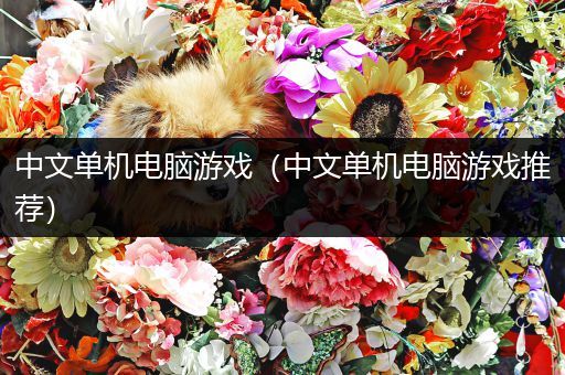 中文单机电脑游戏（中文单机电脑游戏推荐）