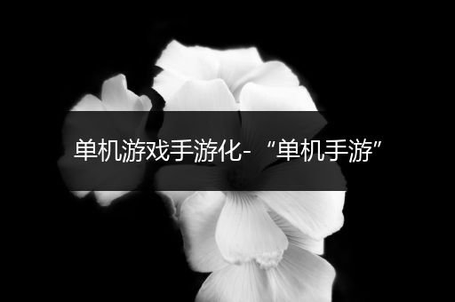 单机游戏手游化-“单机手游”
