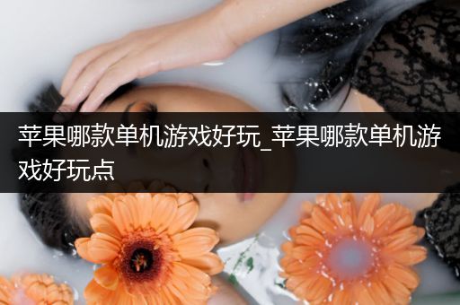苹果哪款单机游戏好玩_苹果哪款单机游戏好玩点