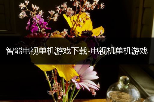 智能电视单机游戏下载-电视机单机游戏