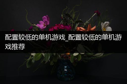 配置较低的单机游戏_配置较低的单机游戏推荐