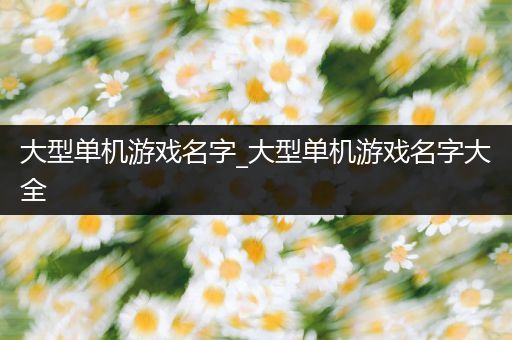 大型单机游戏名字_大型单机游戏名字大全