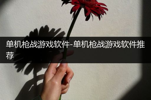 单机枪战游戏软件-单机枪战游戏软件推荐