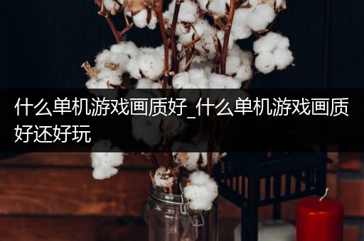什么单机游戏画质好_什么单机游戏画质好还好玩