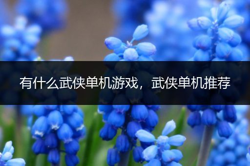有什么武侠单机游戏，武侠单机推荐