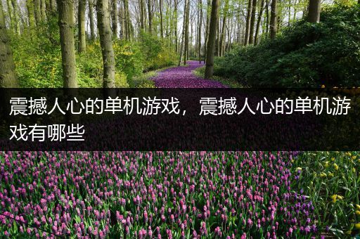 震撼人心的单机游戏，震撼人心的单机游戏有哪些