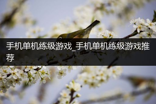 手机单机练级游戏_手机单机练级游戏推荐