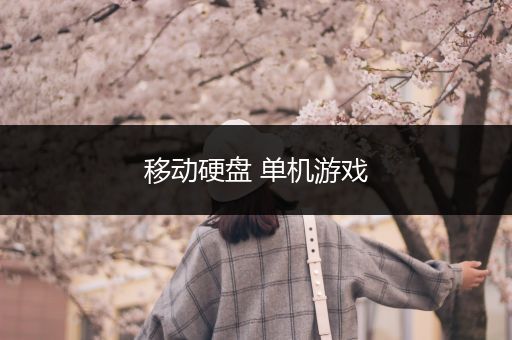 移动硬盘 单机游戏