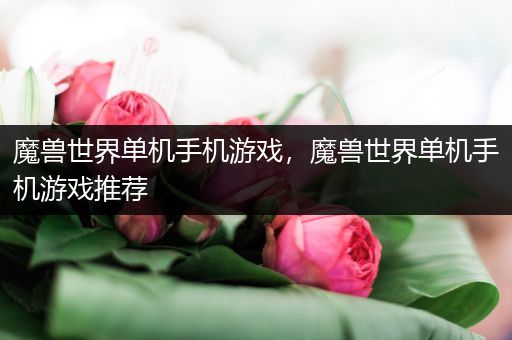 魔兽世界单机手机游戏，魔兽世界单机手机游戏推荐