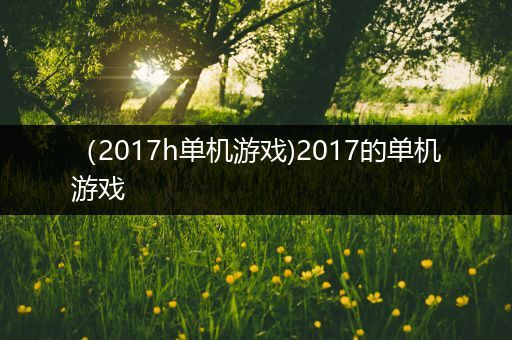 （2017h单机游戏)2017的单机游戏