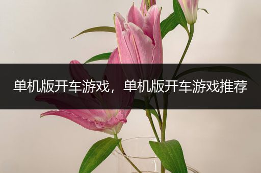 单机版开车游戏，单机版开车游戏推荐