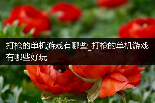 打枪的单机游戏有哪些_打枪的单机游戏有哪些好玩