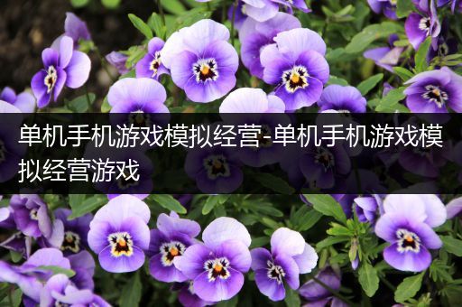单机手机游戏模拟经营-单机手机游戏模拟经营游戏