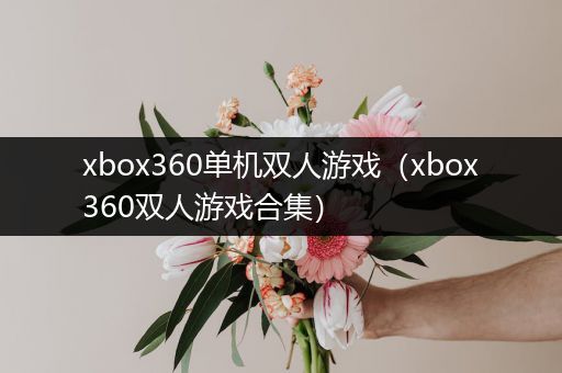 xbox360单机双人游戏（xbox360双人游戏合集）