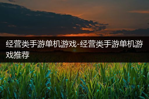 经营类手游单机游戏-经营类手游单机游戏推荐