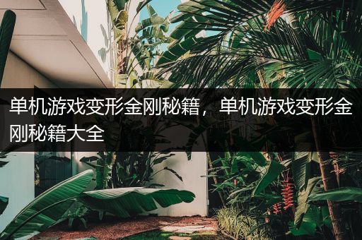 单机游戏变形金刚秘籍，单机游戏变形金刚秘籍大全