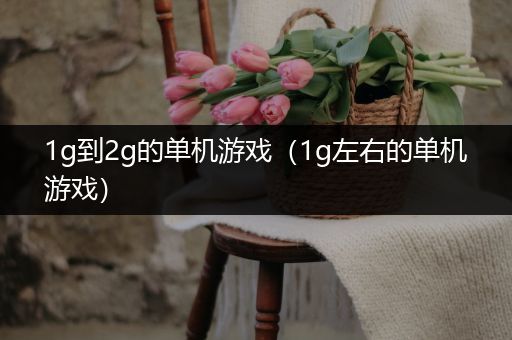 1g到2g的单机游戏（1g左右的单机游戏）