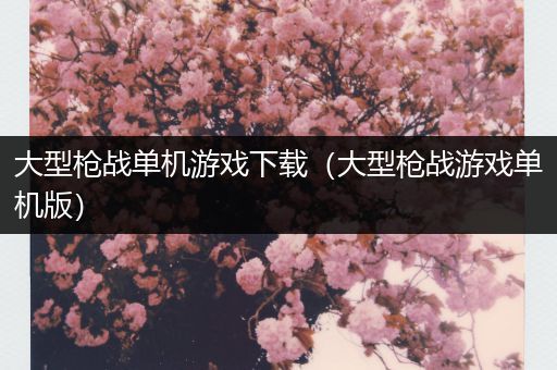 大型枪战单机游戏下载（大型枪战游戏单机版）