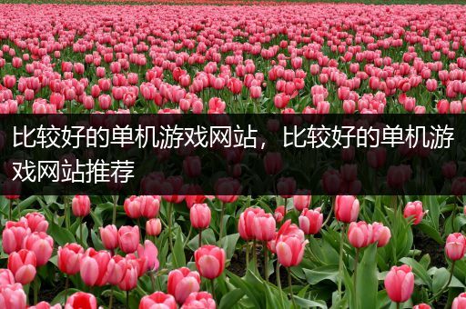 比较好的单机游戏网站，比较好的单机游戏网站推荐