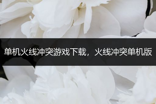 单机火线冲突游戏下载，火线冲突单机版