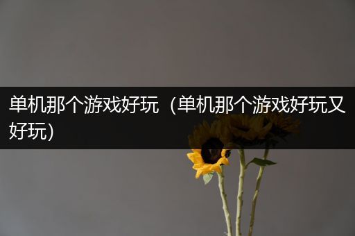 单机那个游戏好玩（单机那个游戏好玩又好玩）