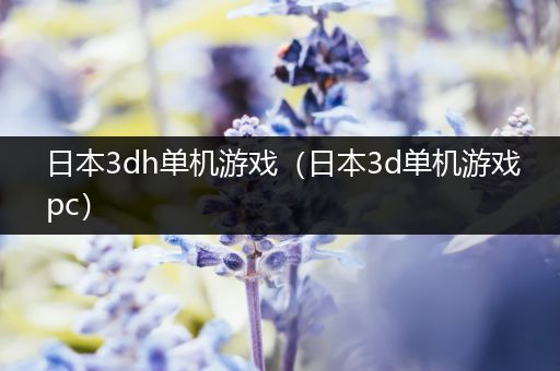 日本3dh单机游戏（日本3d单机游戏pc）