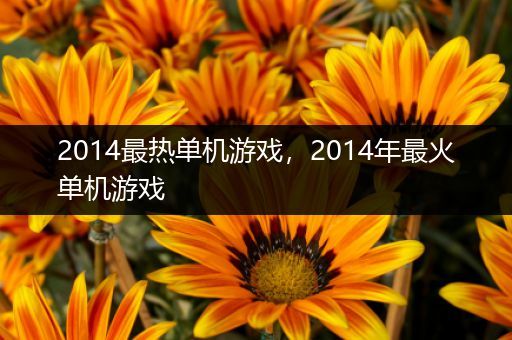 2014最热单机游戏，2014年最火单机游戏