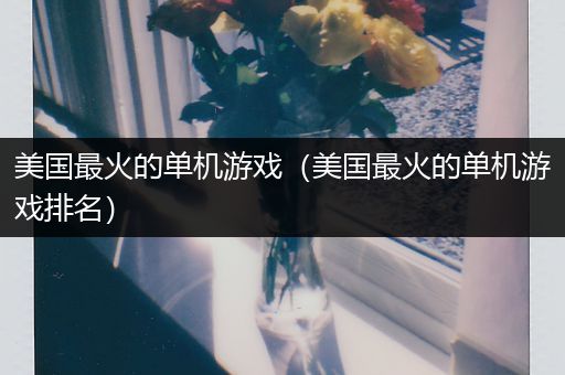 美国最火的单机游戏（美国最火的单机游戏排名）