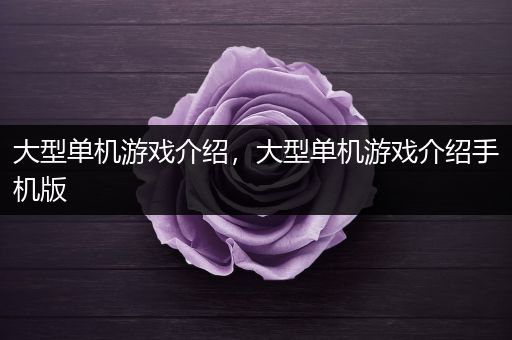 大型单机游戏介绍，大型单机游戏介绍手机版