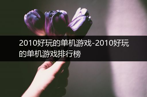 2010好玩的单机游戏-2010好玩的单机游戏排行榜