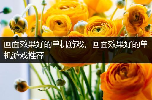 画面效果好的单机游戏，画面效果好的单机游戏推荐