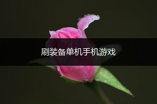 刷装备单机手机游戏