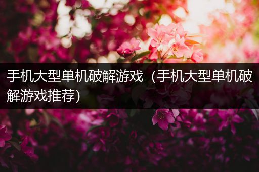 手机大型单机破解游戏（手机大型单机破解游戏推荐）