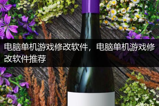 电脑单机游戏修改软件，电脑单机游戏修改软件推荐