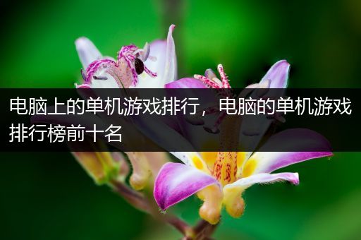 电脑上的单机游戏排行，电脑的单机游戏排行榜前十名