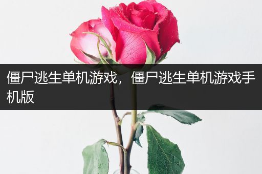 僵尸逃生单机游戏，僵尸逃生单机游戏手机版