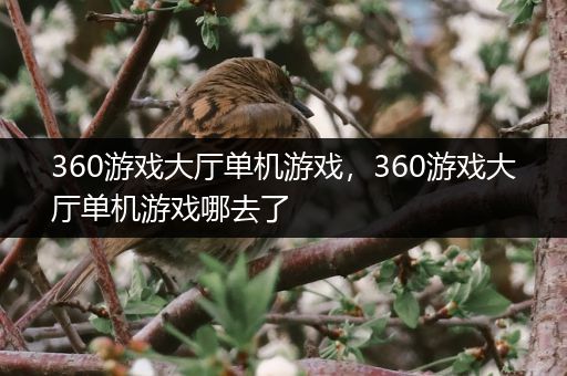 360游戏大厅单机游戏，360游戏大厅单机游戏哪去了