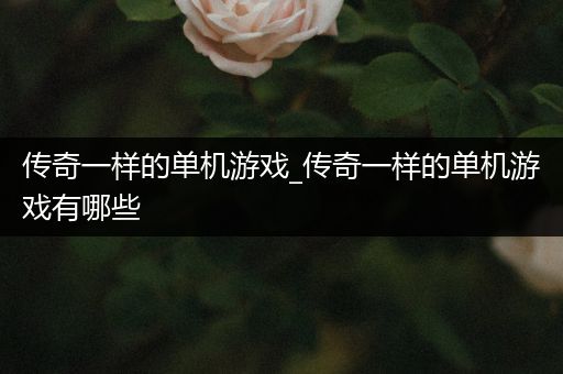 传奇一样的单机游戏_传奇一样的单机游戏有哪些