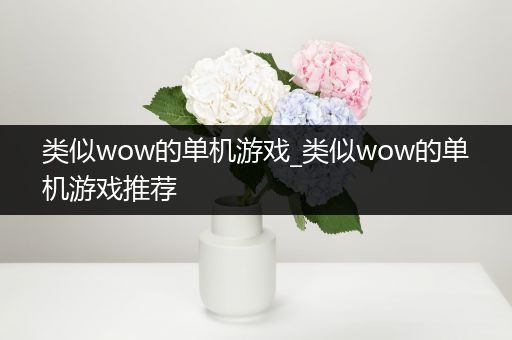 类似wow的单机游戏_类似wow的单机游戏推荐