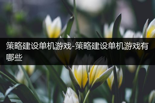 策略建设单机游戏-策略建设单机游戏有哪些