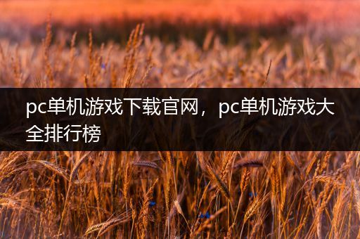 pc单机游戏下载官网，pc单机游戏大全排行榜