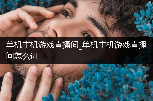 单机主机游戏直播间_单机主机游戏直播间怎么进