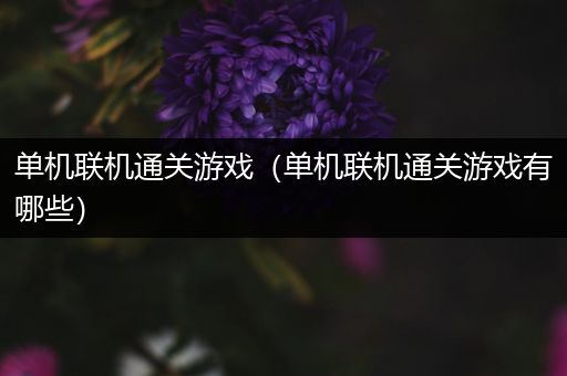 单机联机通关游戏（单机联机通关游戏有哪些）