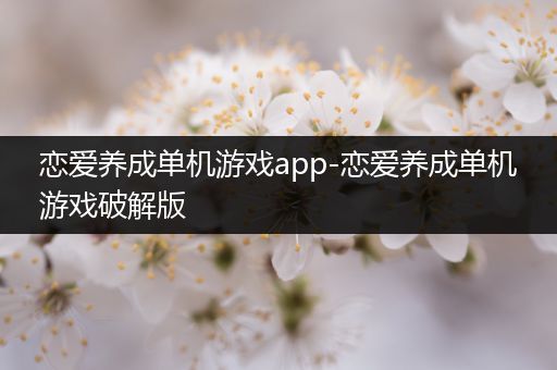 恋爱养成单机游戏app-恋爱养成单机游戏破解版