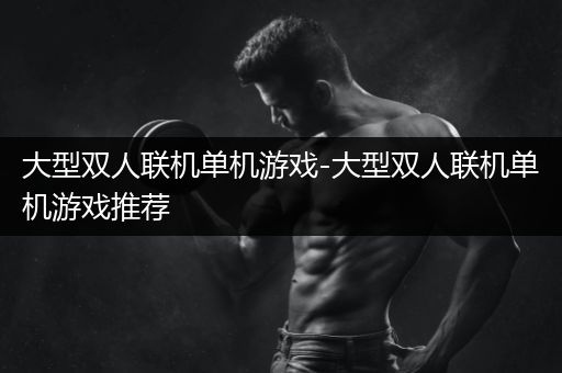 大型双人联机单机游戏-大型双人联机单机游戏推荐