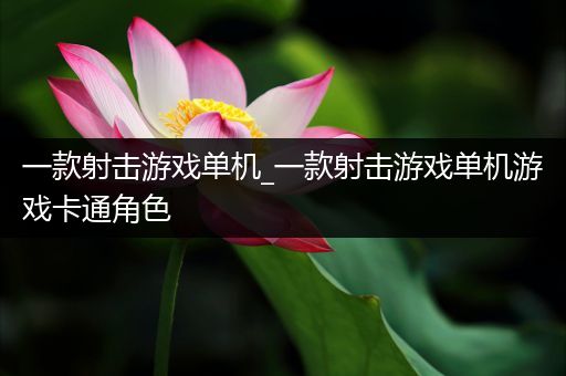 一款射击游戏单机_一款射击游戏单机游戏卡通角色